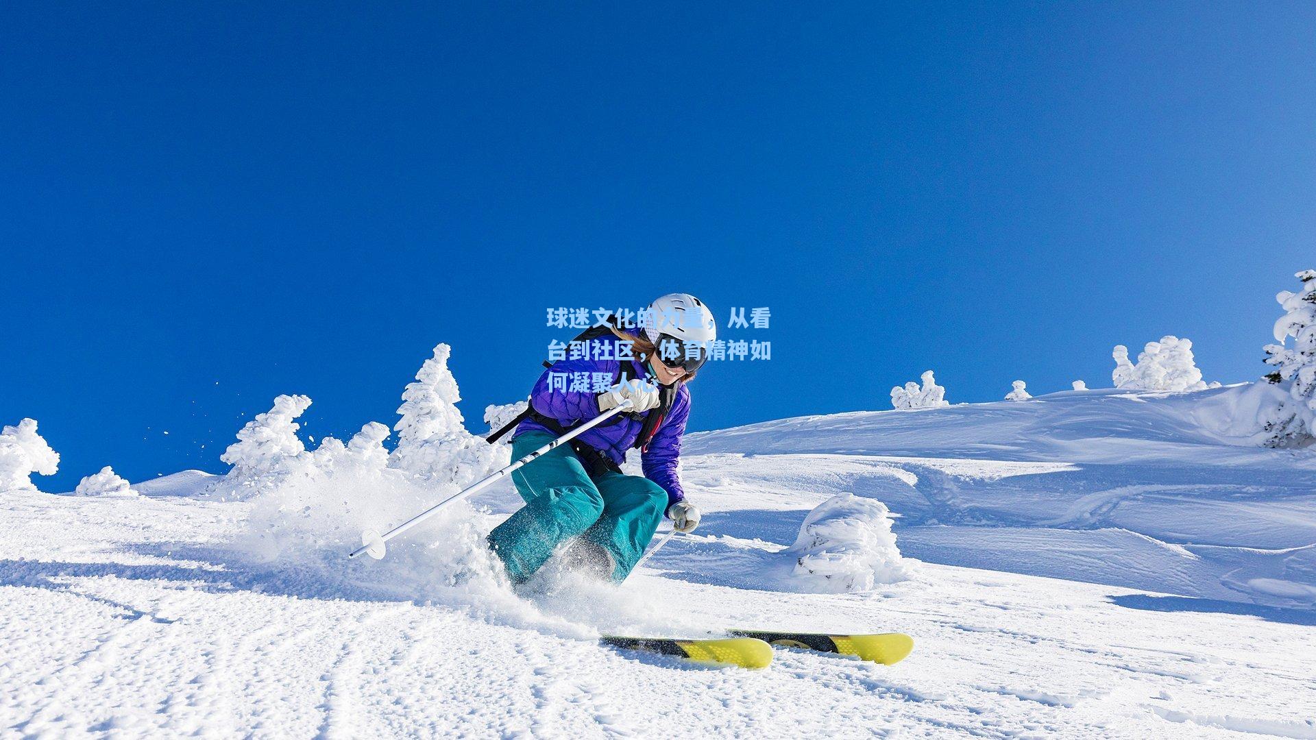 球迷文化的力量，从看台到社区，体育精神如何凝聚人心