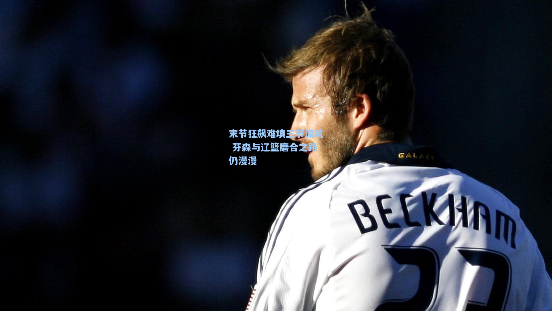 末节狂飙难填三节深坑 芬森与辽篮磨合之路仍漫漫